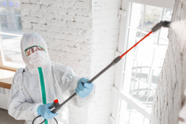 Best Mold Prevention Services  in Whitemarsh Island, GA