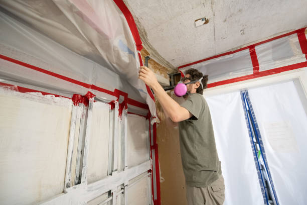 Best Airborne Mold Testing  in Whitemarsh Island, GA