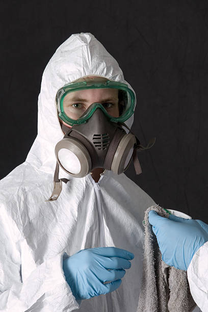 Best Crawl Space Mold Remediation  in Whitemarsh Island, GA